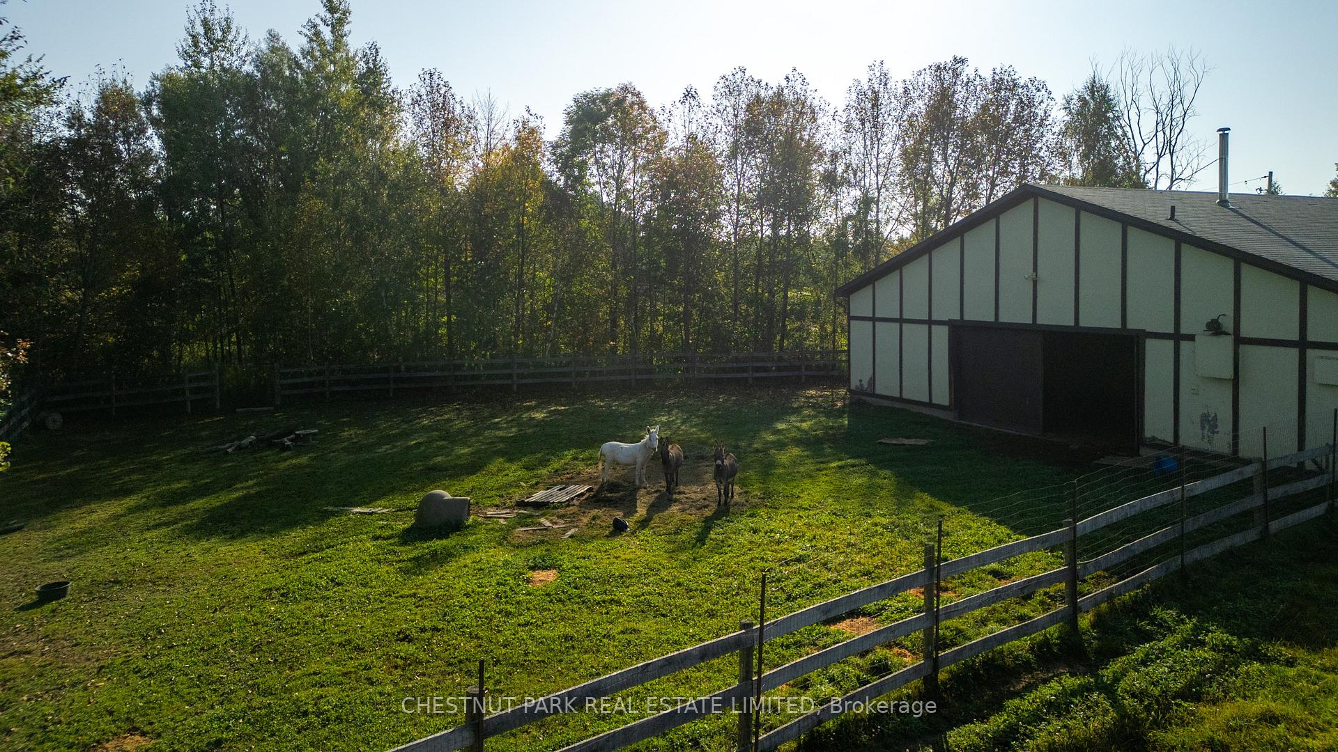 Photo 45 of 385081 20 Side Road, Amaranth, Rural Amaranth — HOMEH