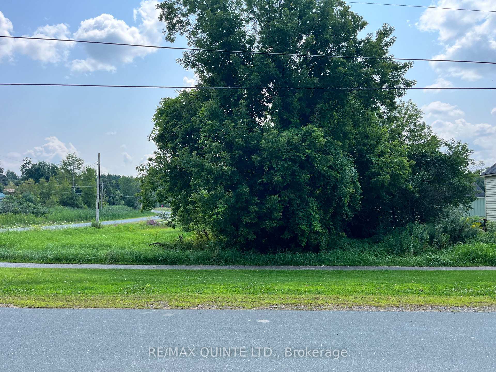 Photo 3 of LOT 39 Store Street, Tweed, Elzevir (Twp) — HOMEH