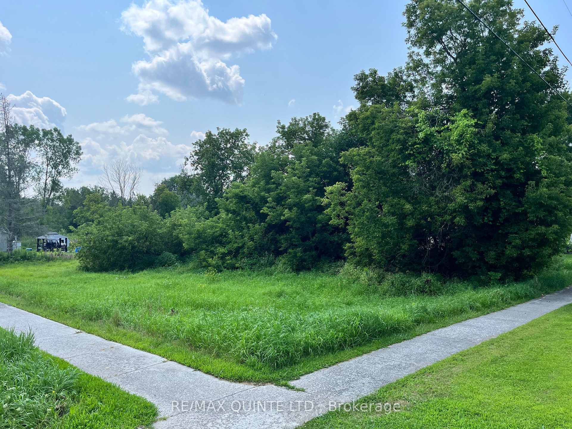 Photo 4 of LOT 39 Store Street, Tweed, Elzevir (Twp) — HOMEH