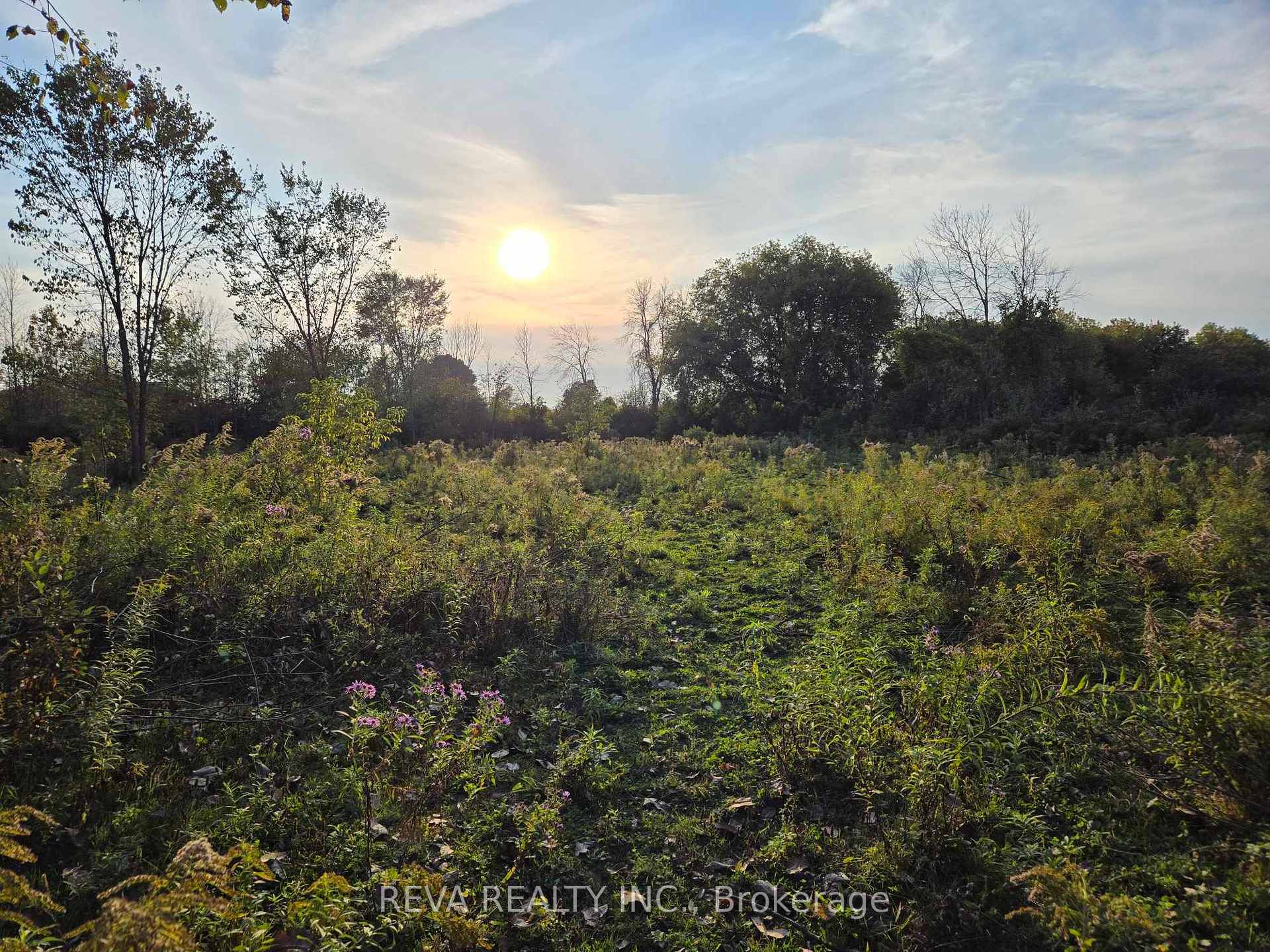 Photo 5 of 782 Shannon Road, Tyendinaga, Tyendinaga Township — HOMEH