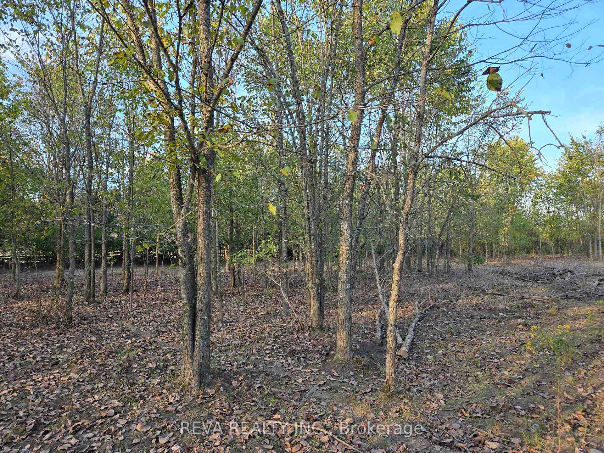 Photo 6 of 782 Shannon Road, Tyendinaga, Tyendinaga Township — HOMEH