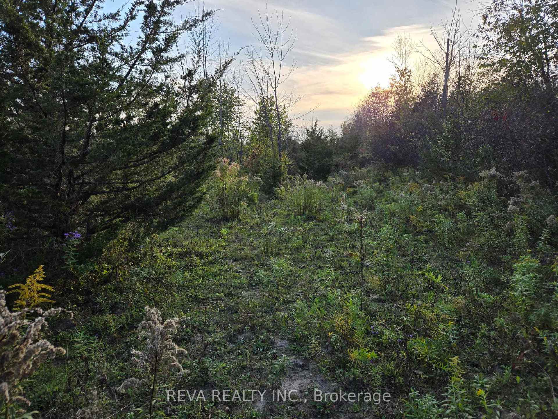 Photo 7 of 782 Shannon Road, Tyendinaga, Tyendinaga Township — HOMEH