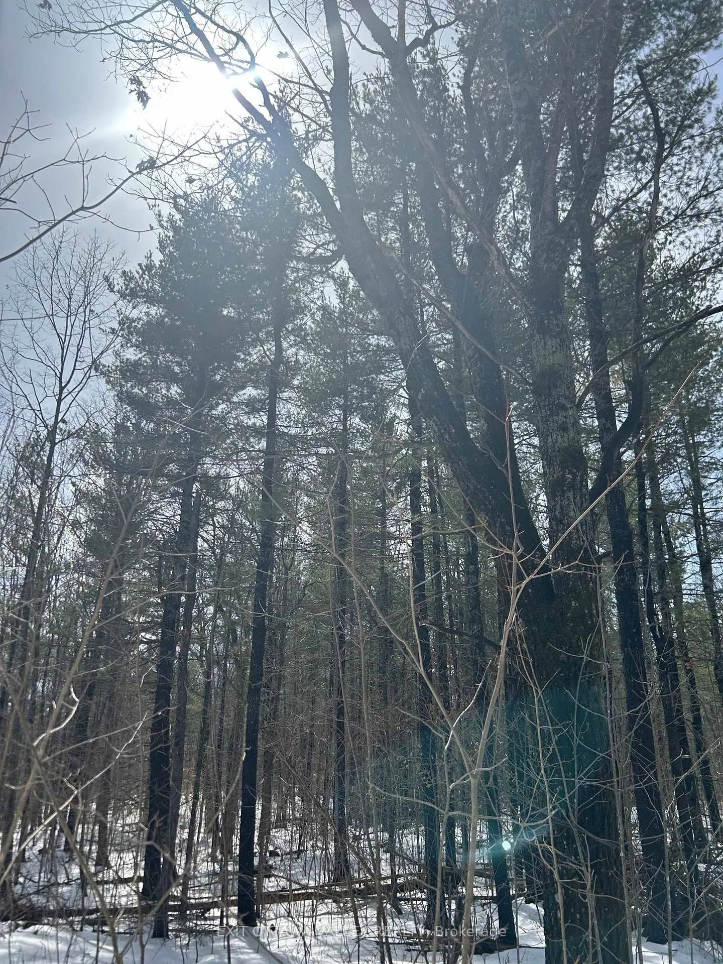 Photo 22 of 992 McGrath Road, Bonnechere Valley, Eganville/Bonnechere Twp — HOMEH