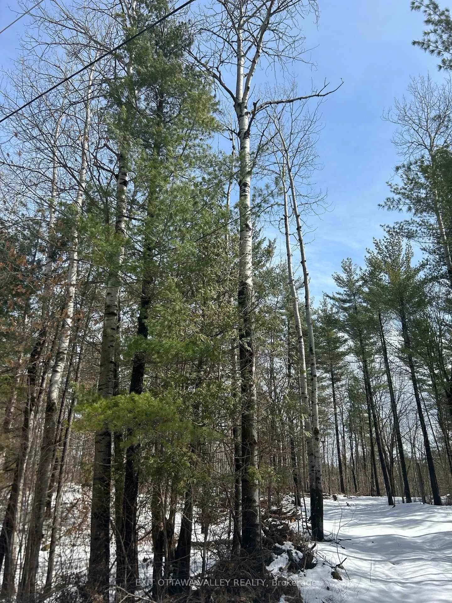 Photo 25 of 992 McGrath Road, Bonnechere Valley, Eganville/Bonnechere Twp — HOMEH