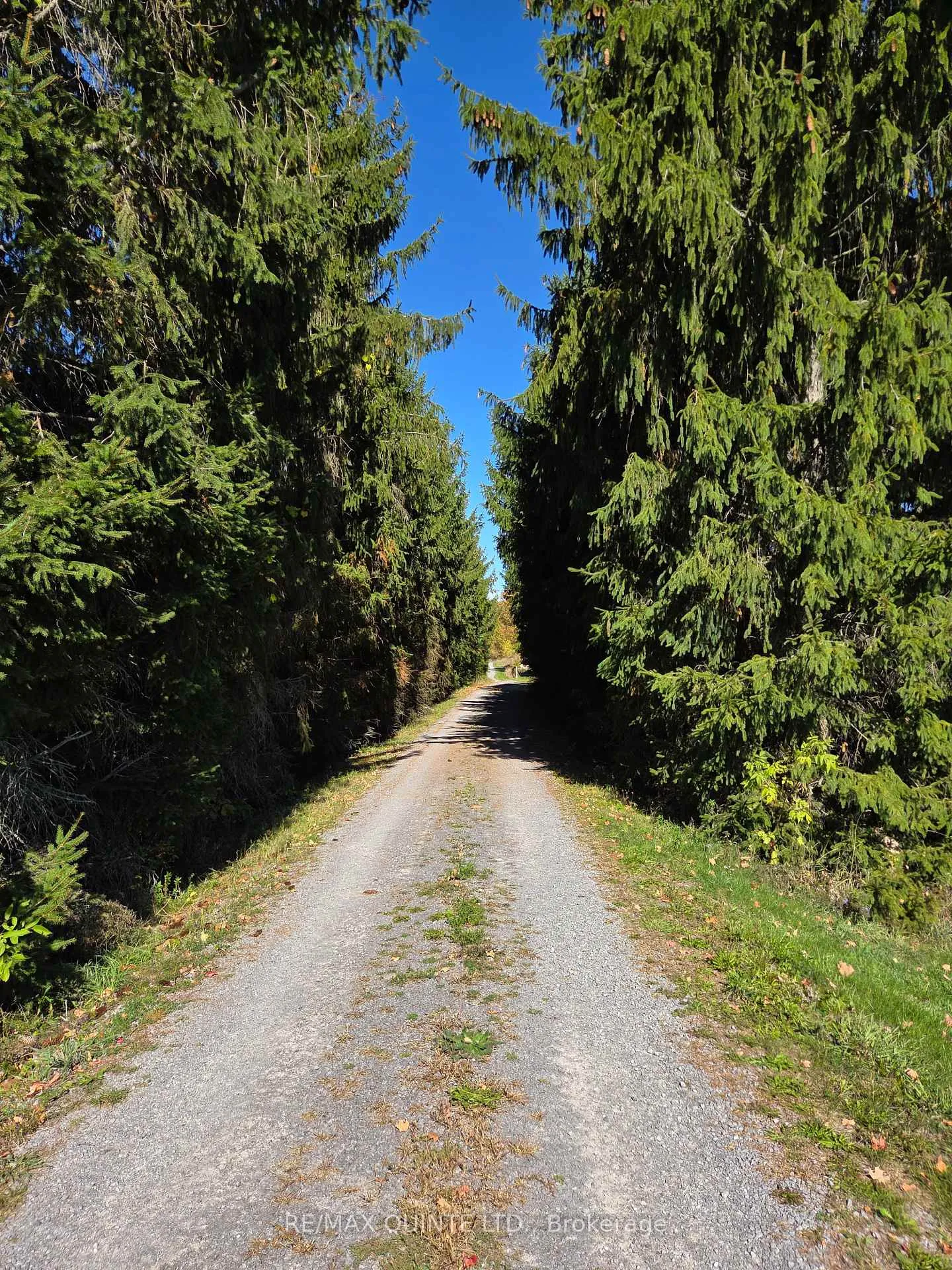 Photo 31 of 551 Marlbank Road, Tweed, Hungerford (Twp) — HOMEH