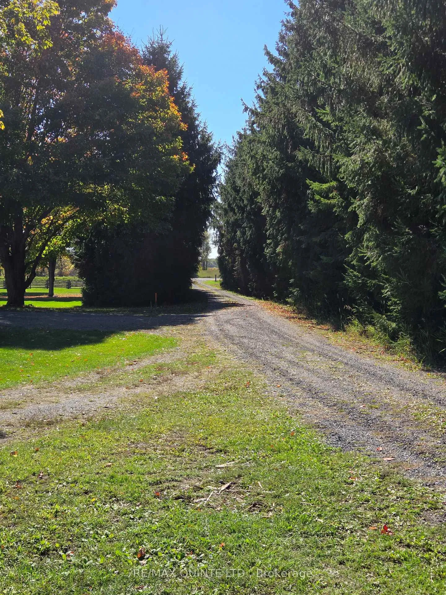 Photo 32 of 551 Marlbank Road, Tweed, Hungerford (Twp) — HOMEH