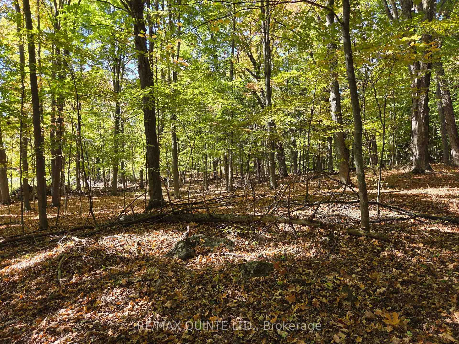 Photo 41 of 551 Marlbank Road, Tweed, Hungerford (Twp) — HOMEH