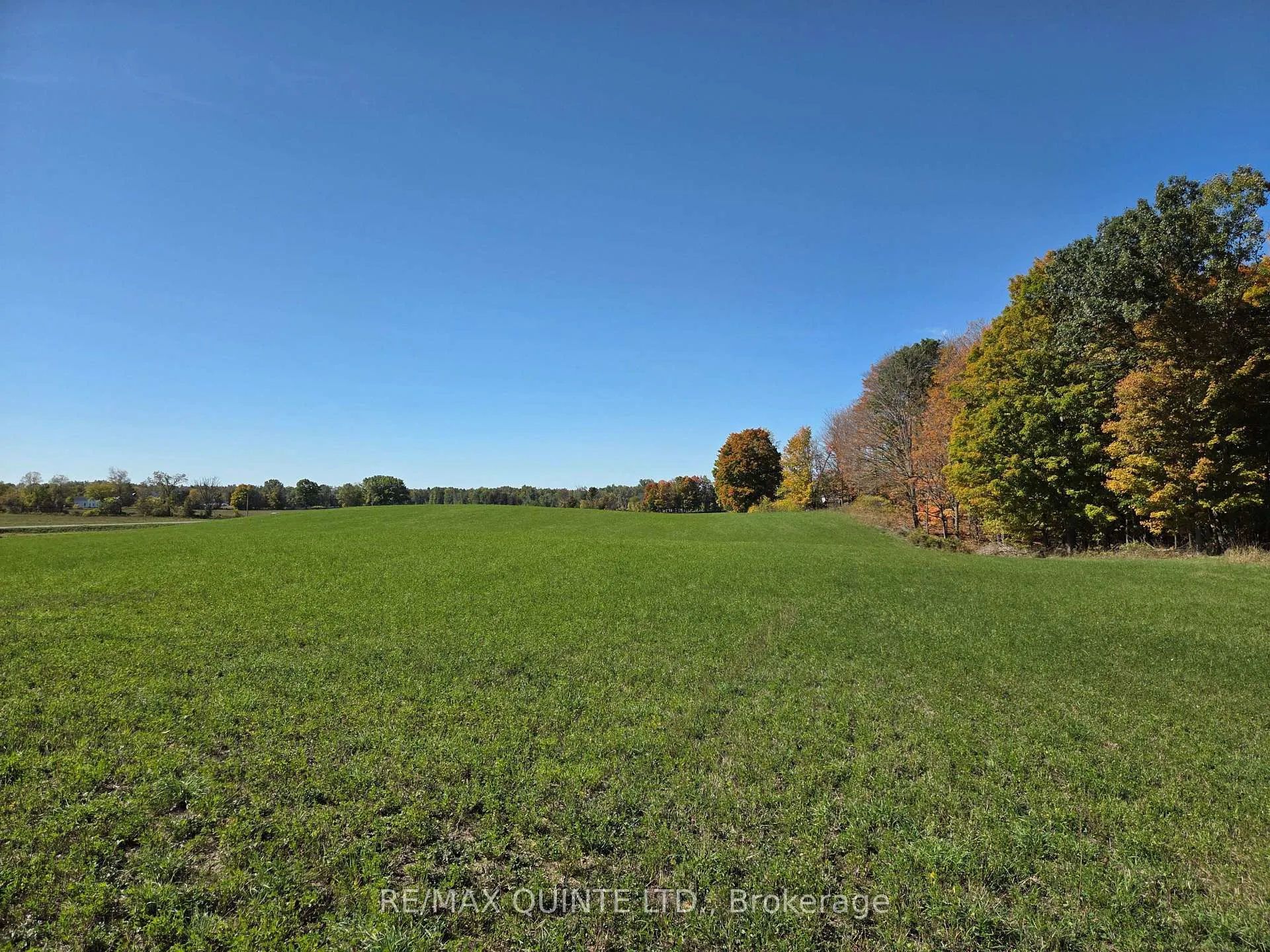 Photo 43 of 551 Marlbank Road, Tweed, Hungerford (Twp) — HOMEH