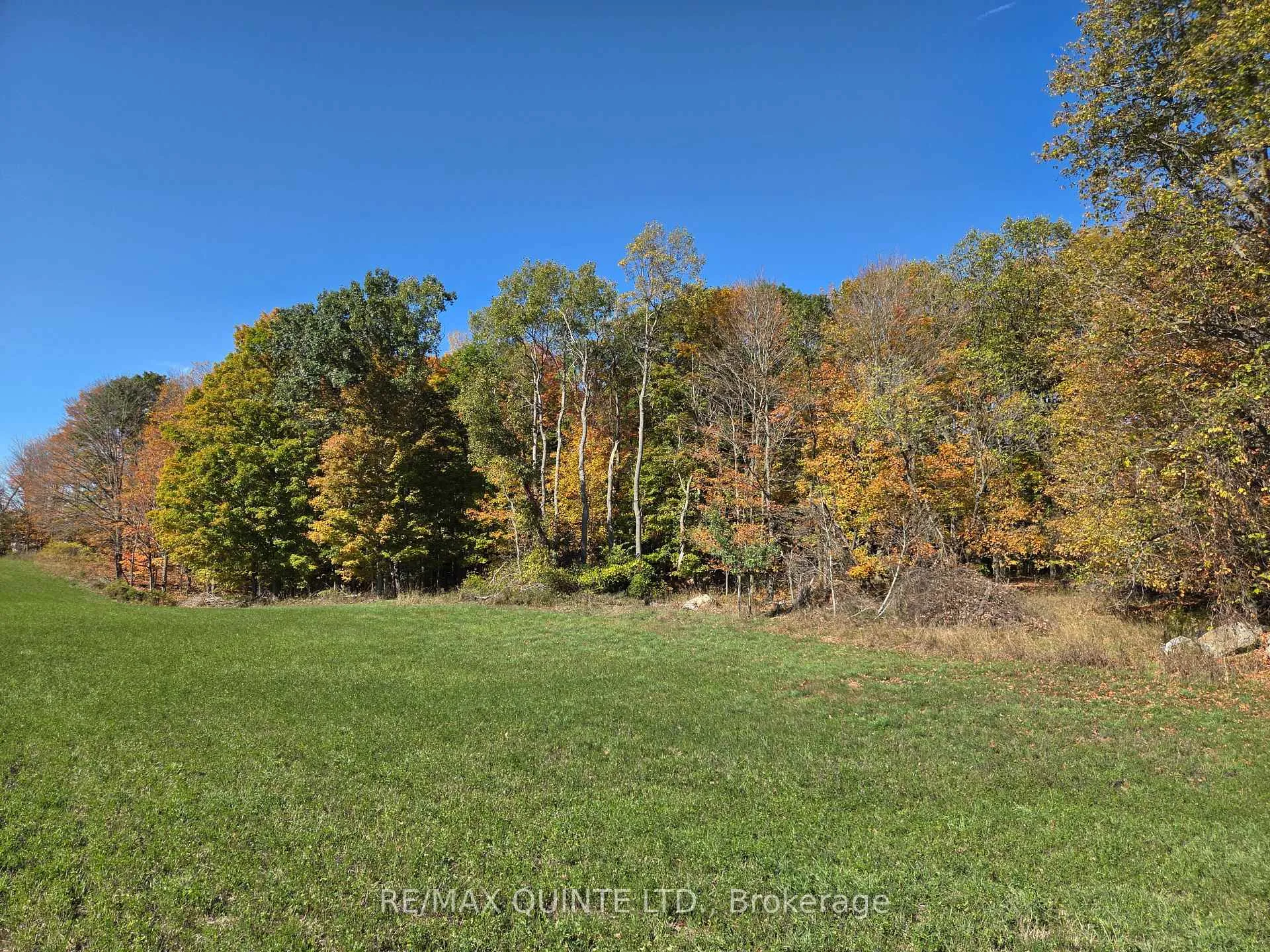 Photo 45 of 551 Marlbank Road, Tweed, Hungerford (Twp) — HOMEH