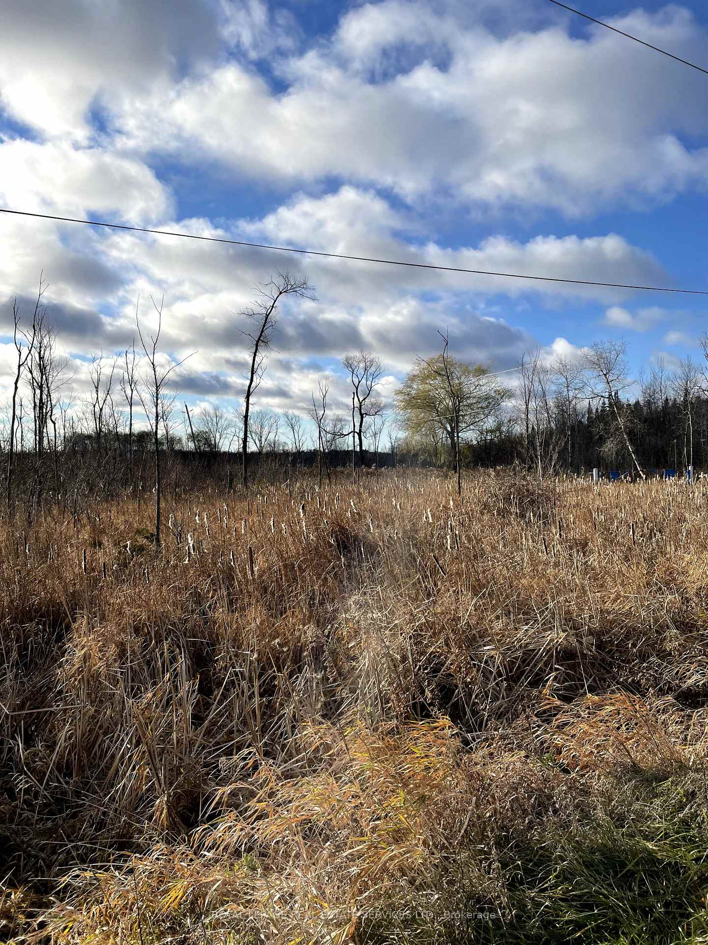 Photo 1 of PTLT 35 Concession 2 Side Road, Uxbridge, Rural Uxbridge — HOMEH