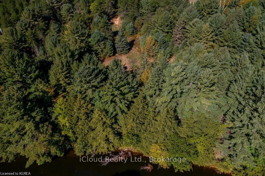 Photo 7 of 233 Trillium Lane, Tweed, Hungerford (Twp) — HOMEH