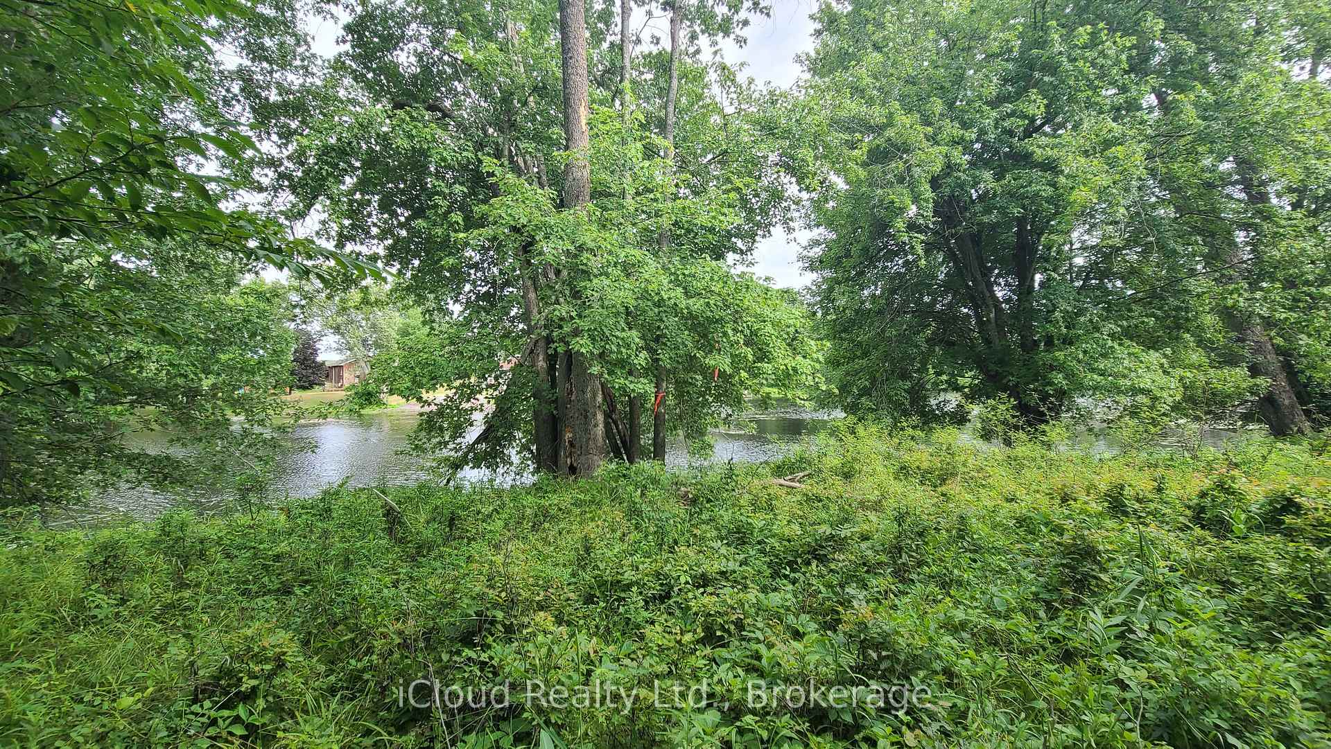 Photo 14 of 233 Trillium Lane, Tweed, Hungerford (Twp) — HOMEH