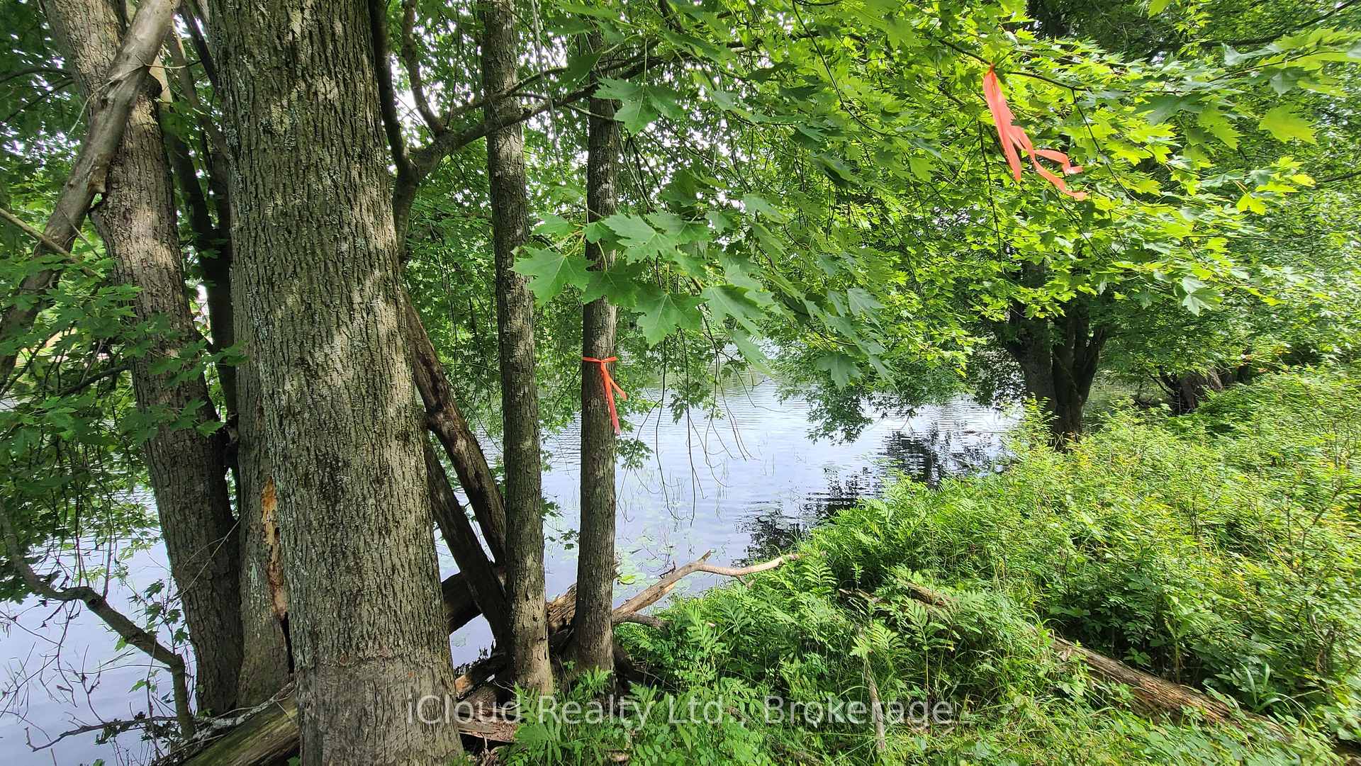 Photo 15 of 233 Trillium Lane, Tweed, Hungerford (Twp) — HOMEH
