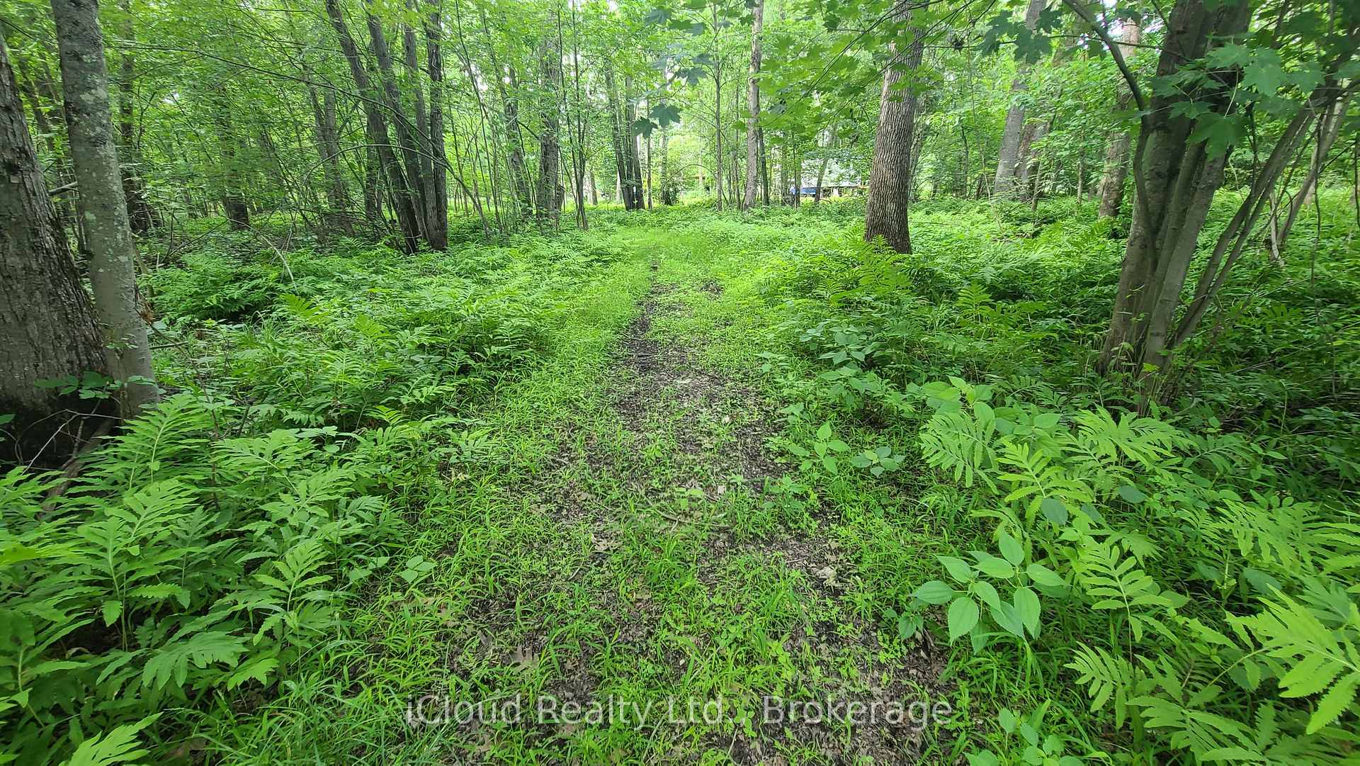 Photo 18 of 233 Trillium Lane, Tweed, Hungerford (Twp) — HOMEH
