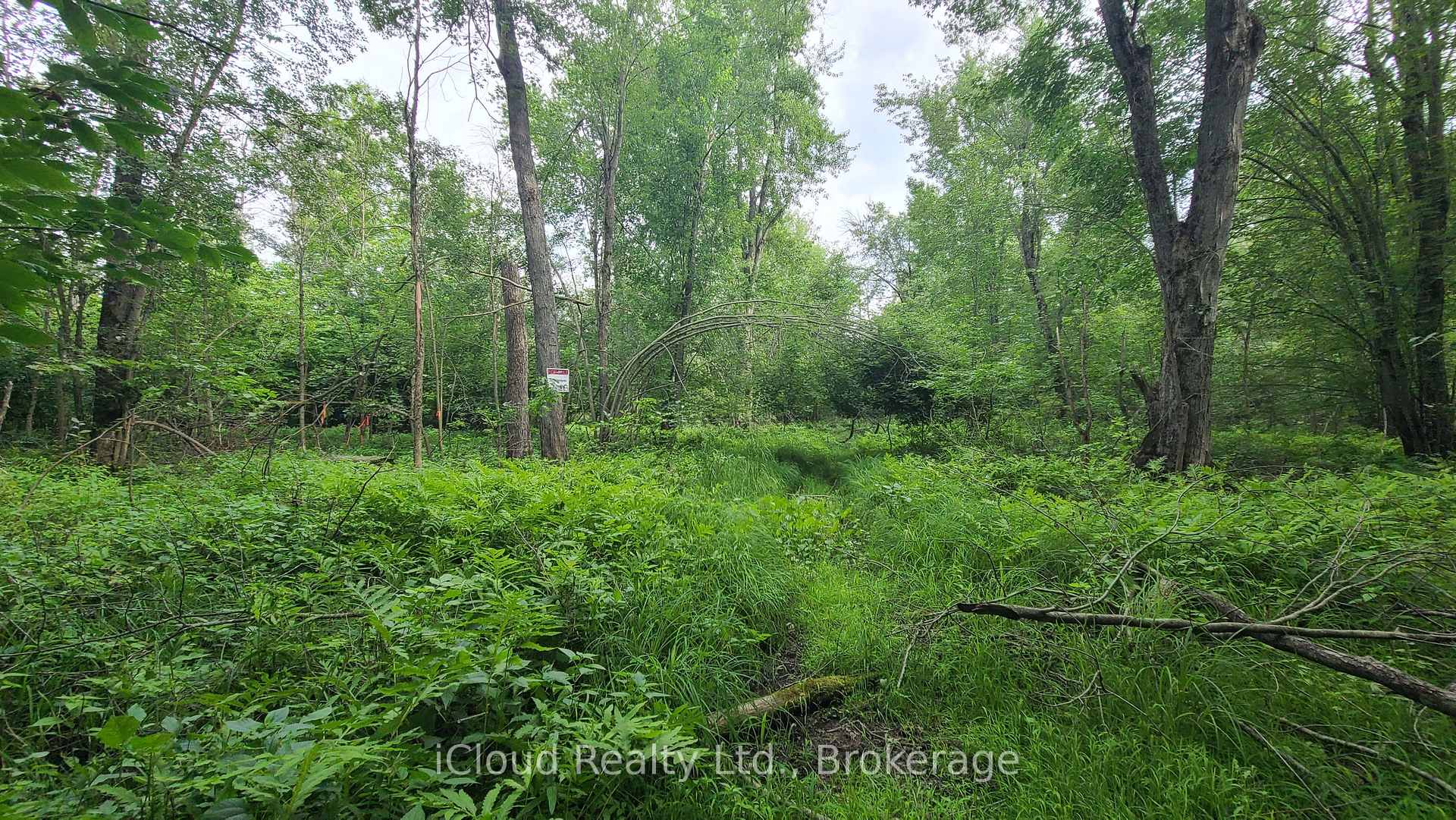 Photo 19 of 233 Trillium Lane, Tweed, Hungerford (Twp) — HOMEH
