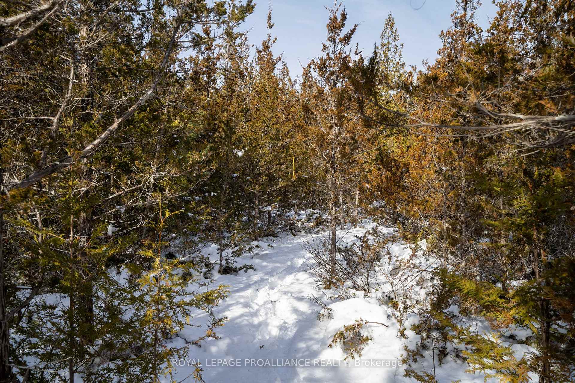 Photo 33 of 1300 Shannon Road, Tyendinaga, Tyendinaga Township — HOMEH