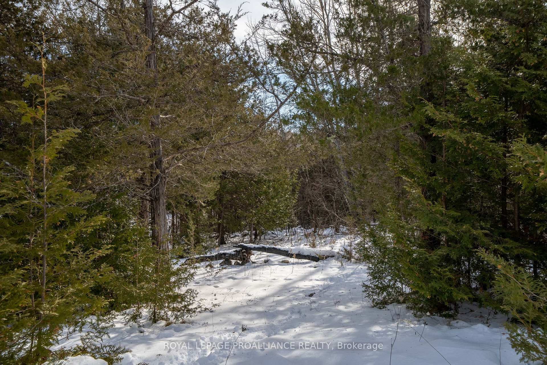 Photo 34 of 1300 Shannon Road, Tyendinaga, Tyendinaga Township — HOMEH