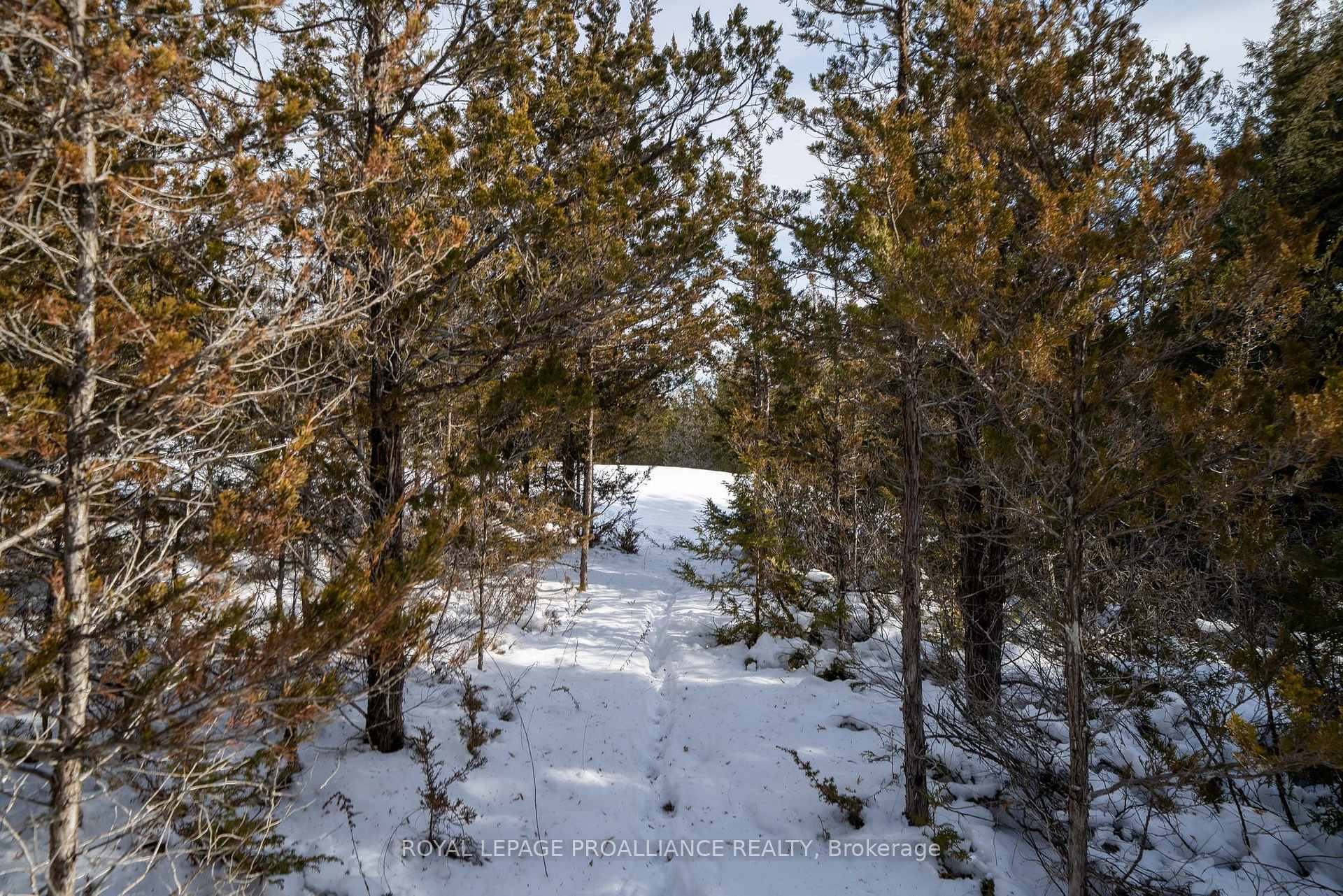Photo 36 of 1300 Shannon Road, Tyendinaga, Tyendinaga Township — HOMEH