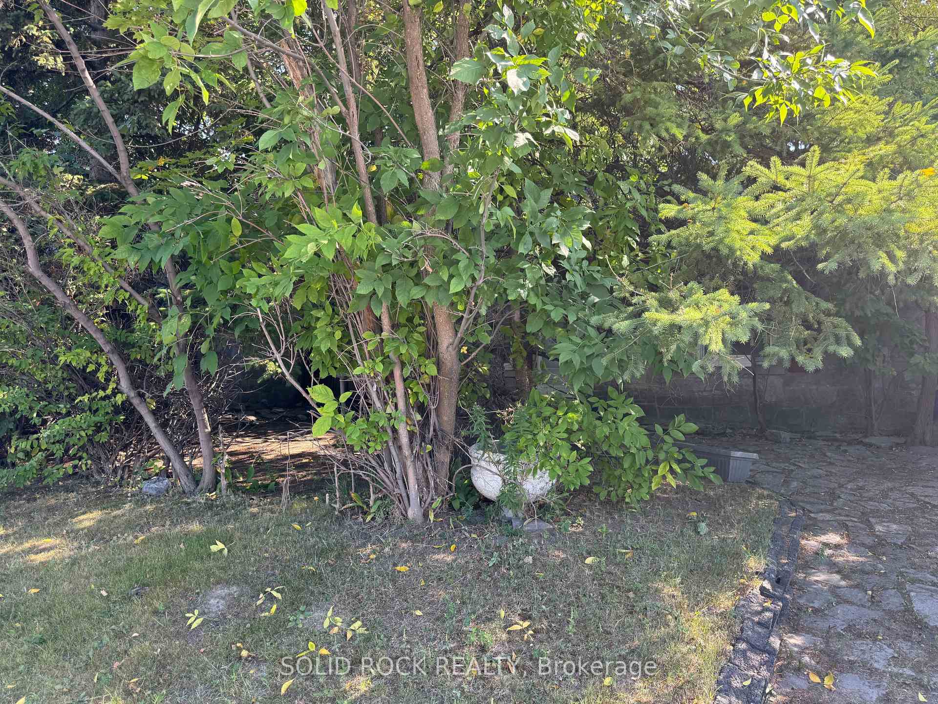 Photo 6 of 244 Smyth Road, Ottawa, Alta Vista/Faircrest Heights — HOMEH