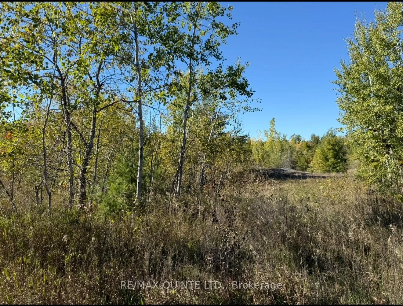 Photo 1 of Price Road, Tweed, Elzevir (Twp) — HOMEH