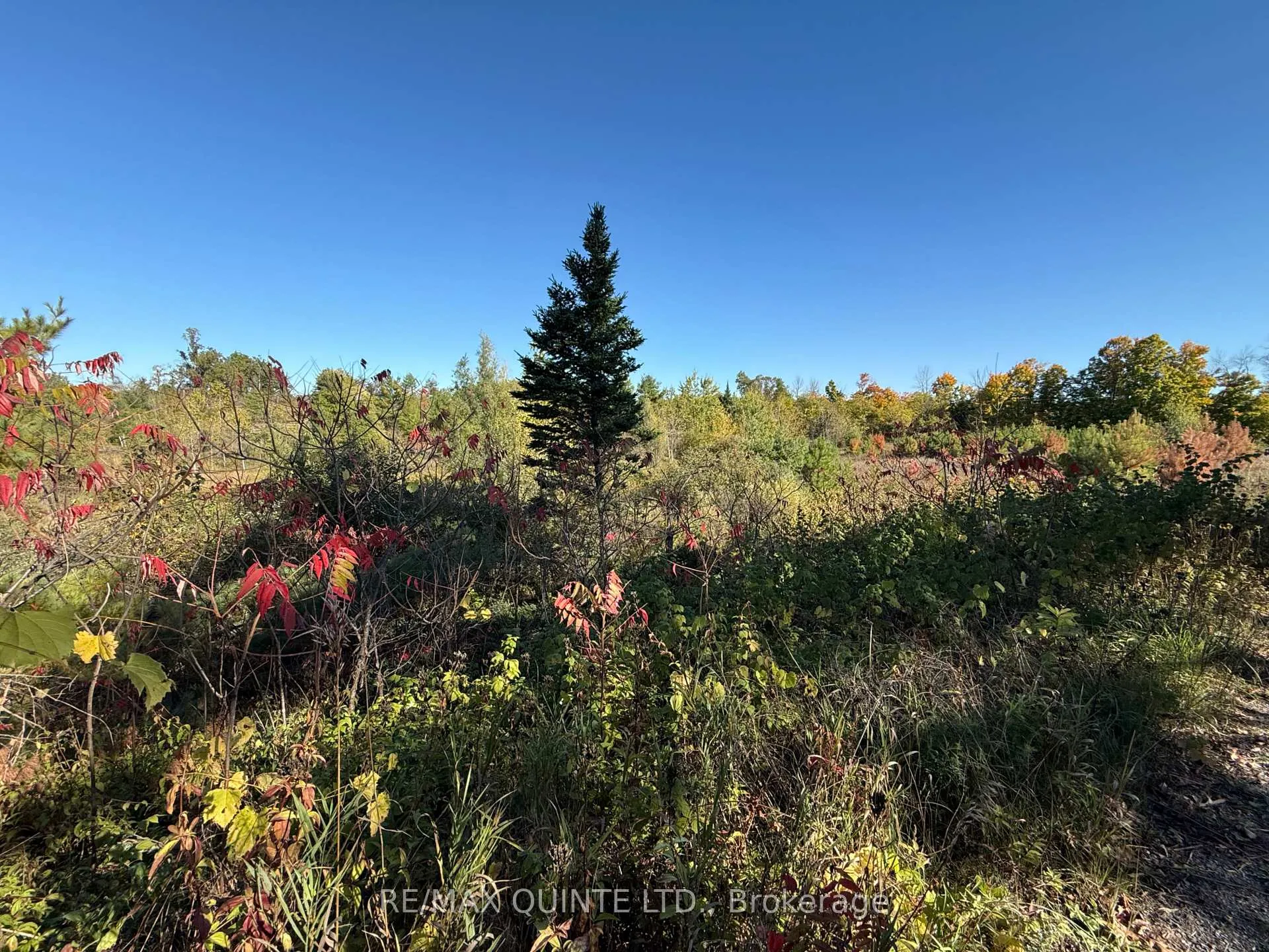 Photo 2 of Price Road, Tweed, Elzevir (Twp) — HOMEH