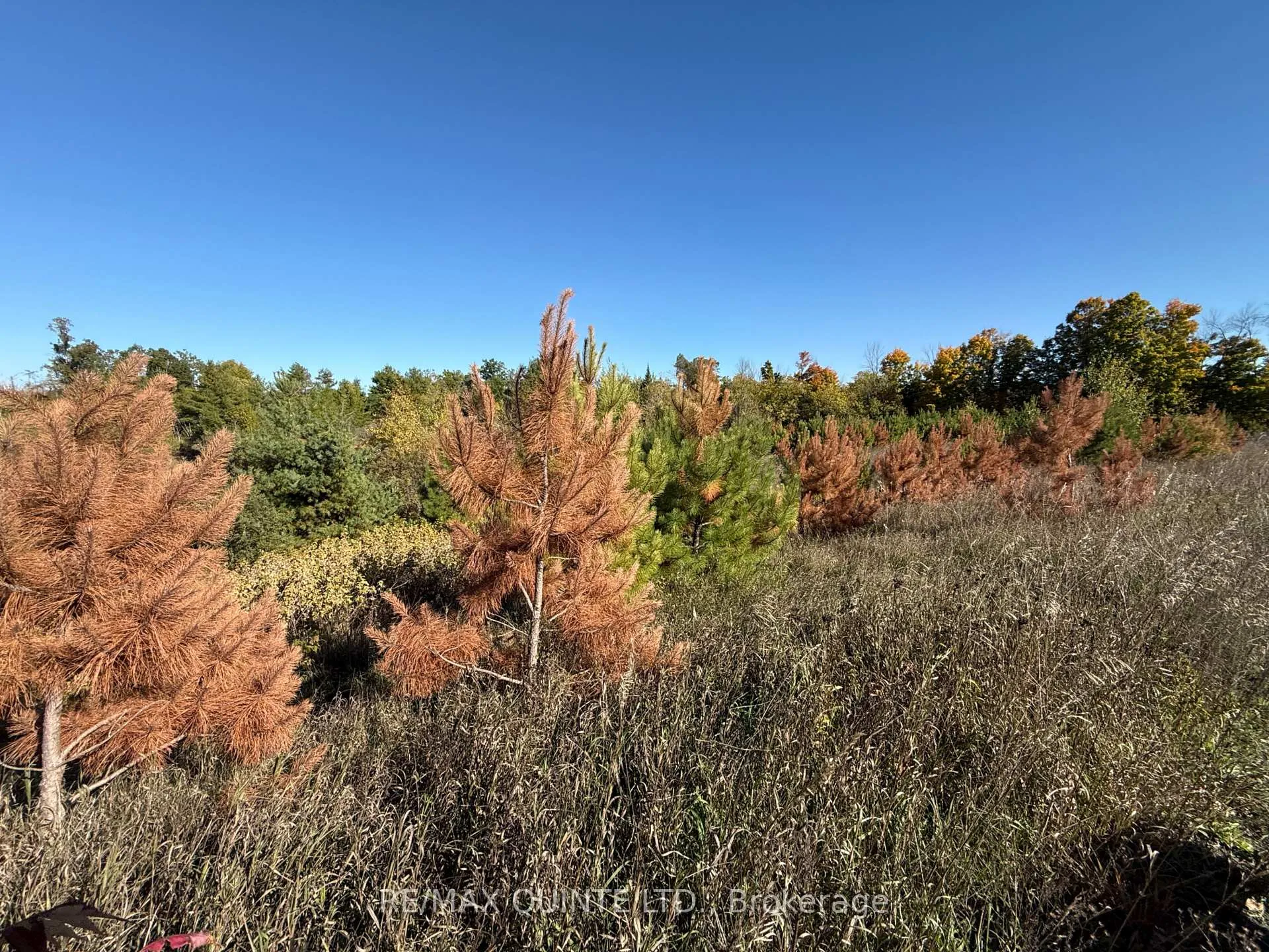 Photo 3 of Price Road, Tweed, Elzevir (Twp) — HOMEH