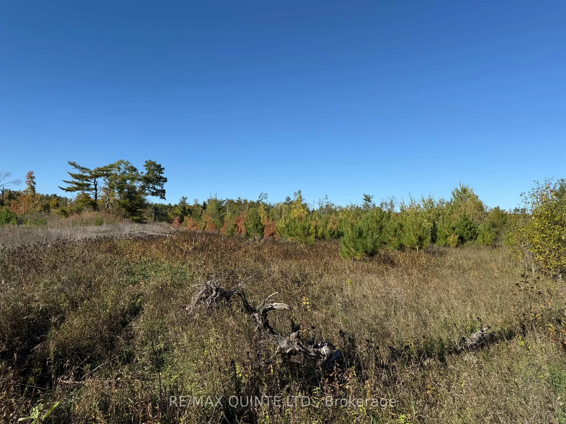 Photo 4 of Price Road, Tweed, Elzevir (Twp) — HOMEH