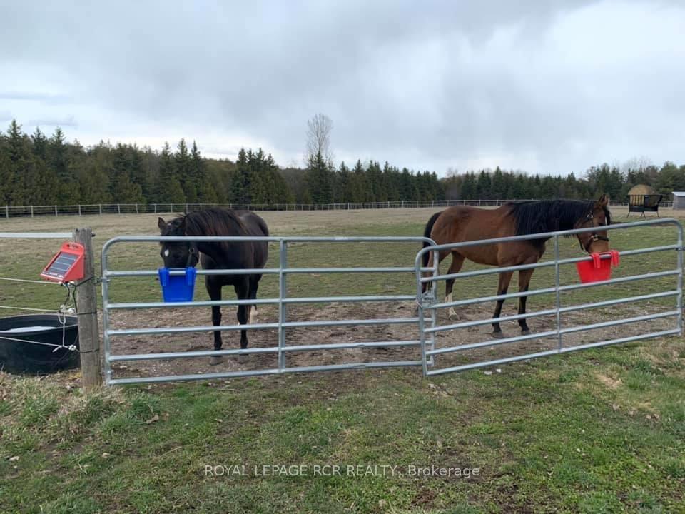 Photo 45 of 293129 8th Line, Amaranth, Rural Amaranth — HOMEH