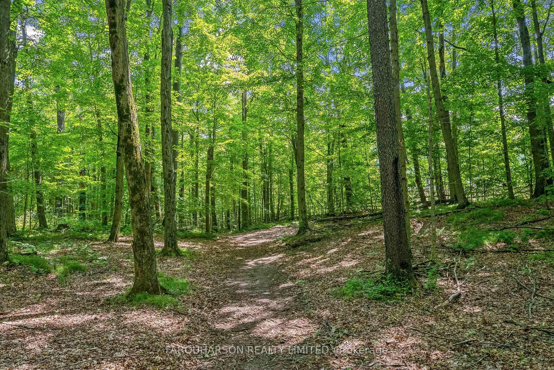 Photo 20 of 729 Reid Road, Uxbridge, Rural Uxbridge — HOMEH
