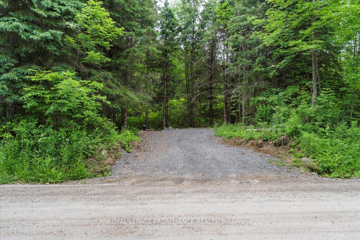 Photo 2 of Otter Creek Road, Tweed, Hungerford (Twp) — HOMEH
