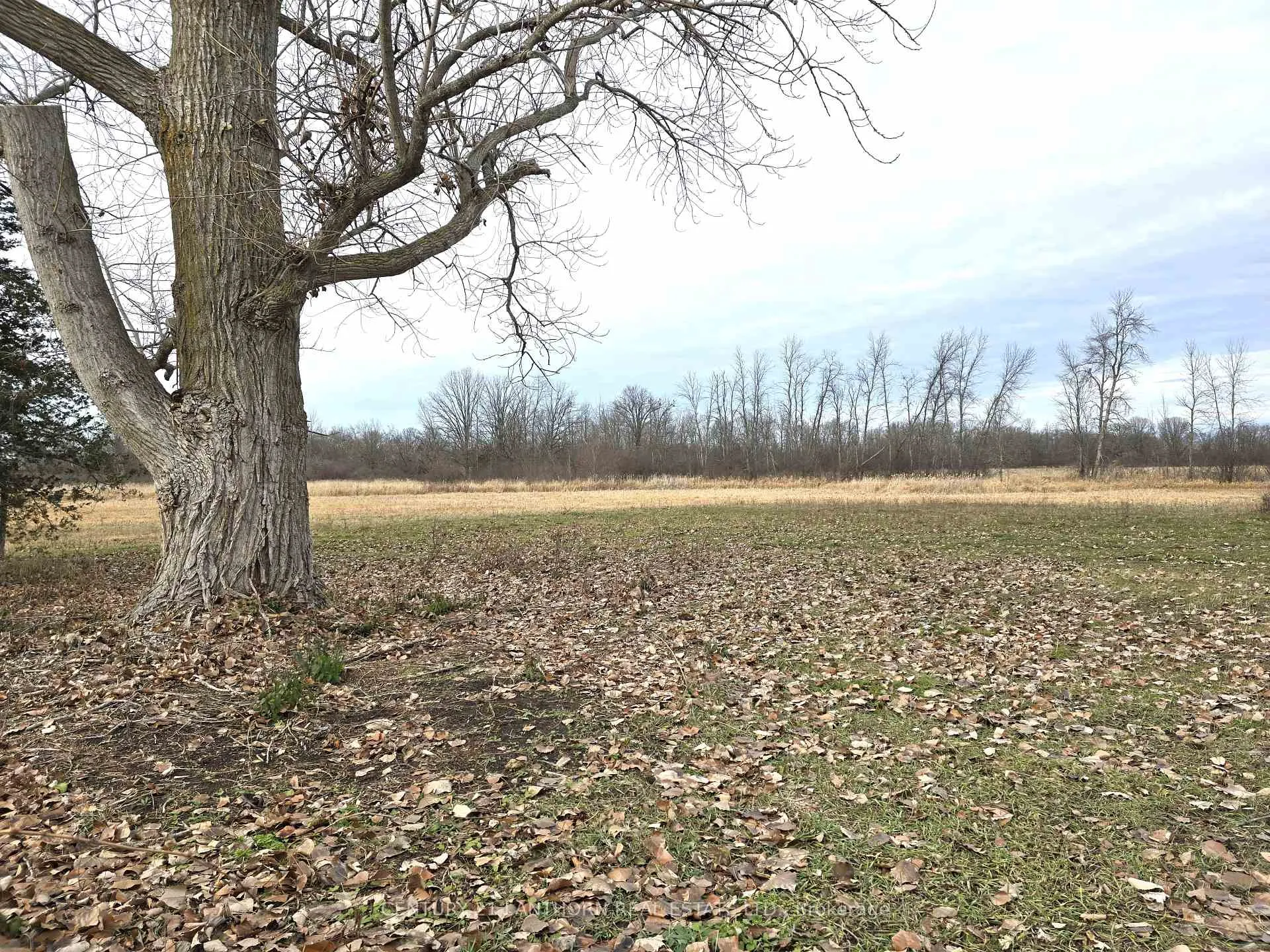 Photo 48 of 175 Hall Settlement Road, Belleville, Thurlow Ward — HOMEH