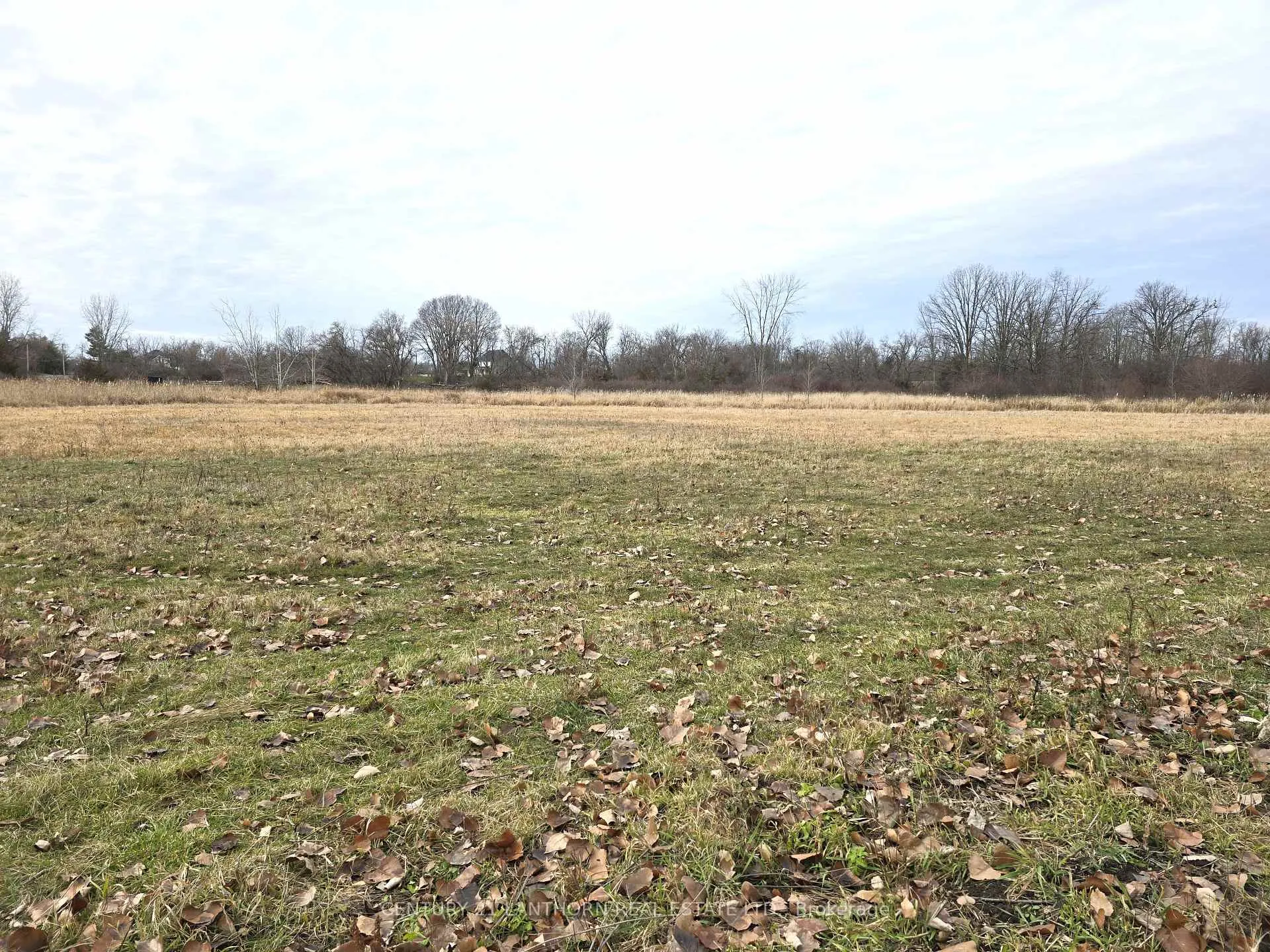 Photo 49 of 175 Hall Settlement Road, Belleville, Thurlow Ward — HOMEH