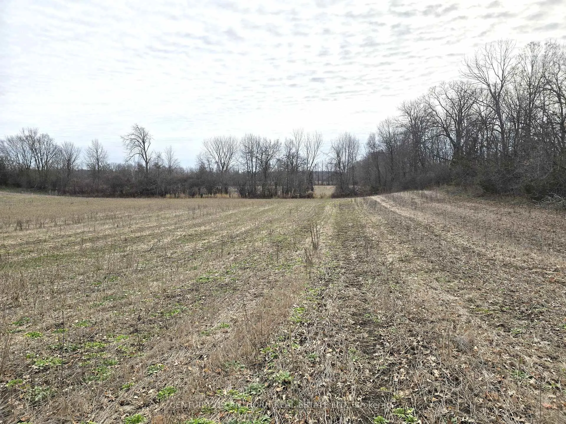 Photo 27 of 175 Hall Settlement Road, Belleville, Thurlow Ward — HOMEH