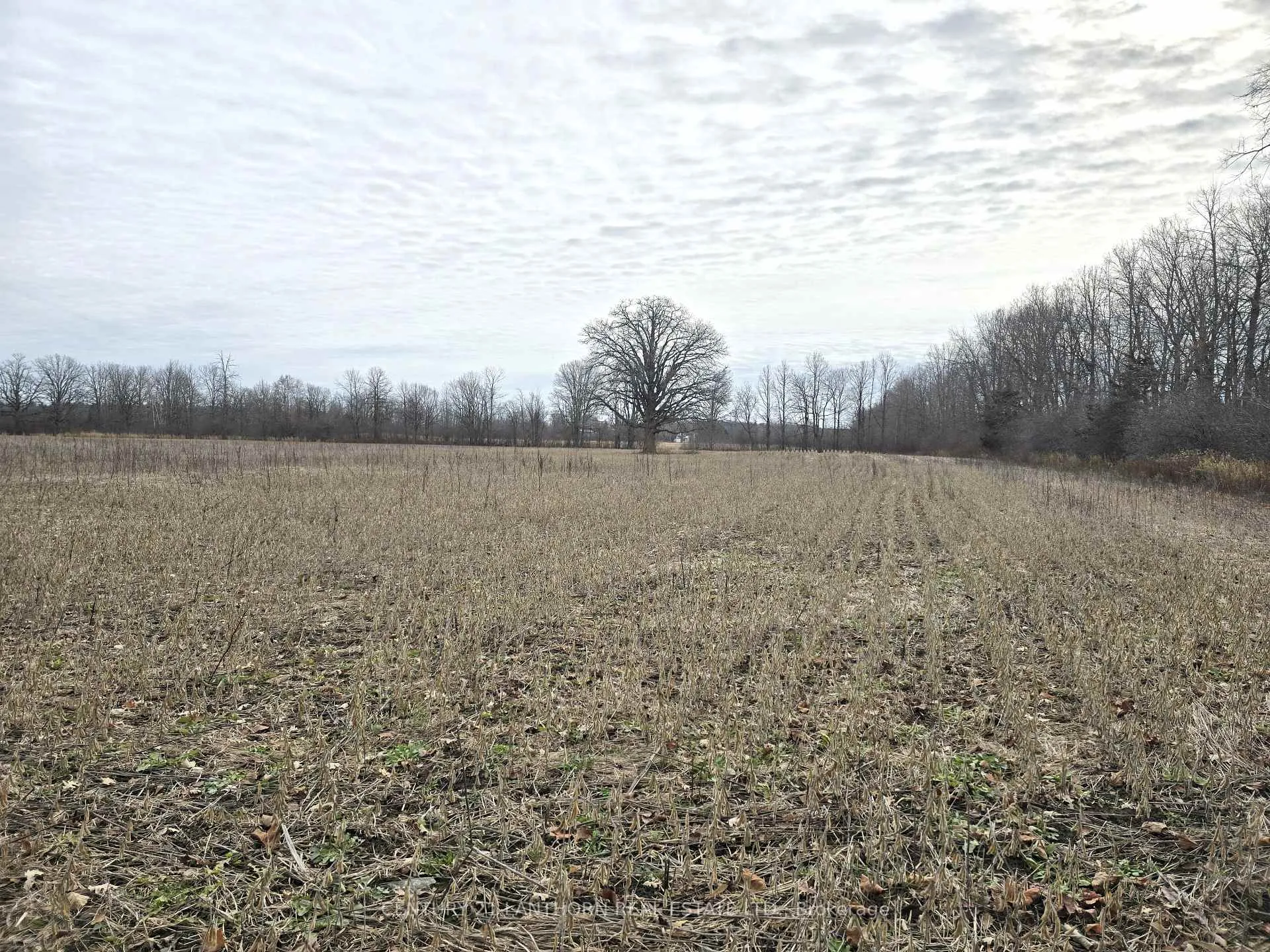 Photo 28 of 175 Hall Settlement Road, Belleville, Thurlow Ward — HOMEH