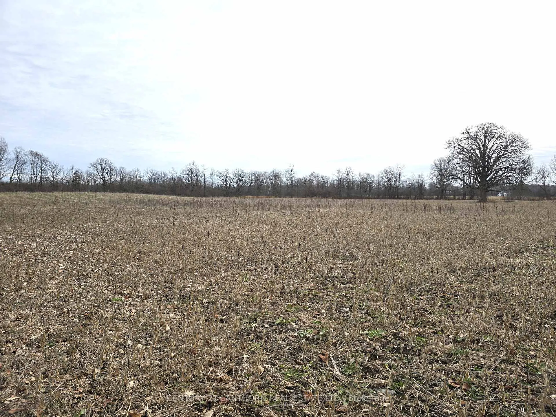 Photo 31 of 175 Hall Settlement Road, Belleville, Thurlow Ward — HOMEH