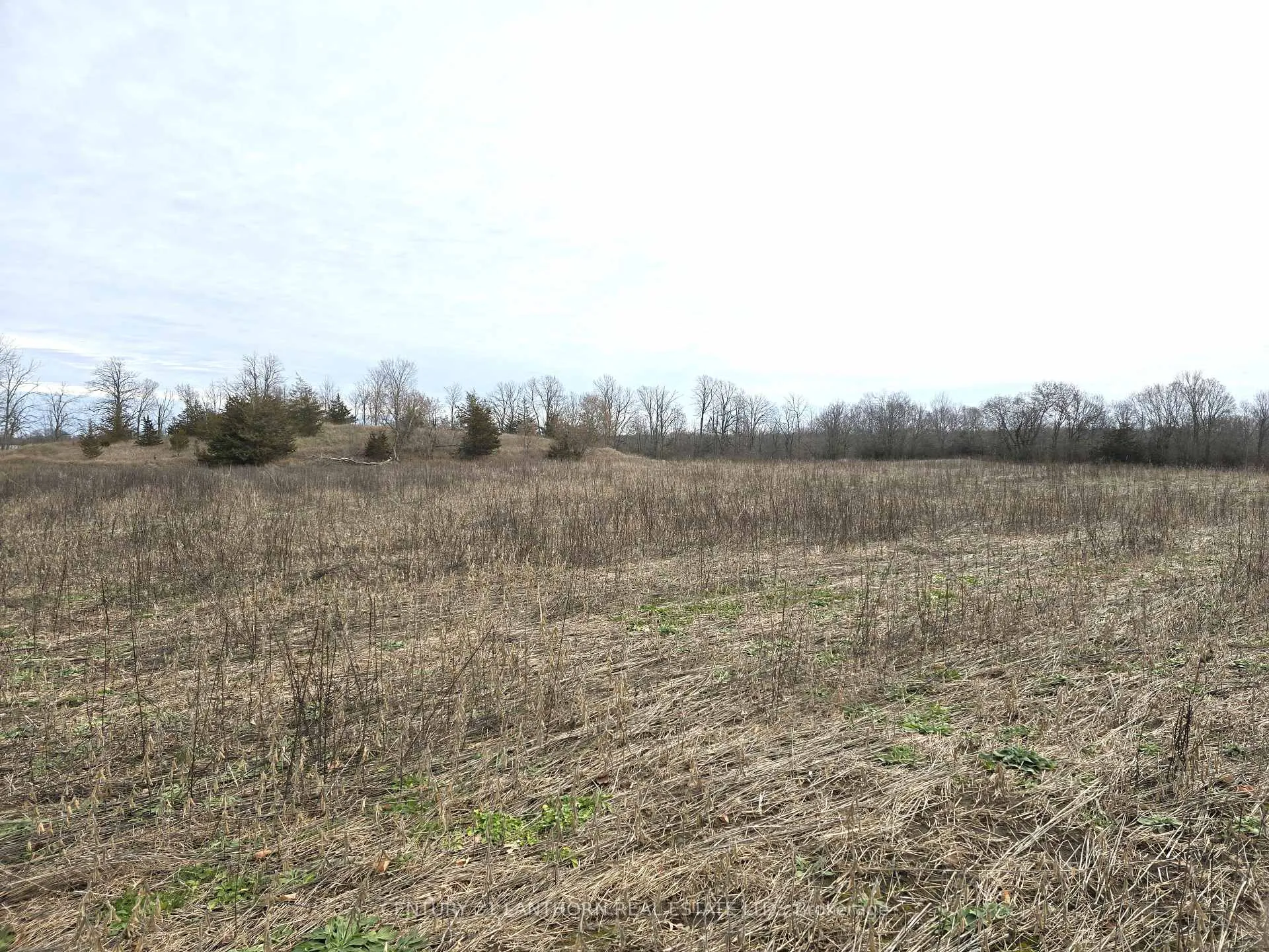 Photo 32 of 175 Hall Settlement Road, Belleville, Thurlow Ward — HOMEH