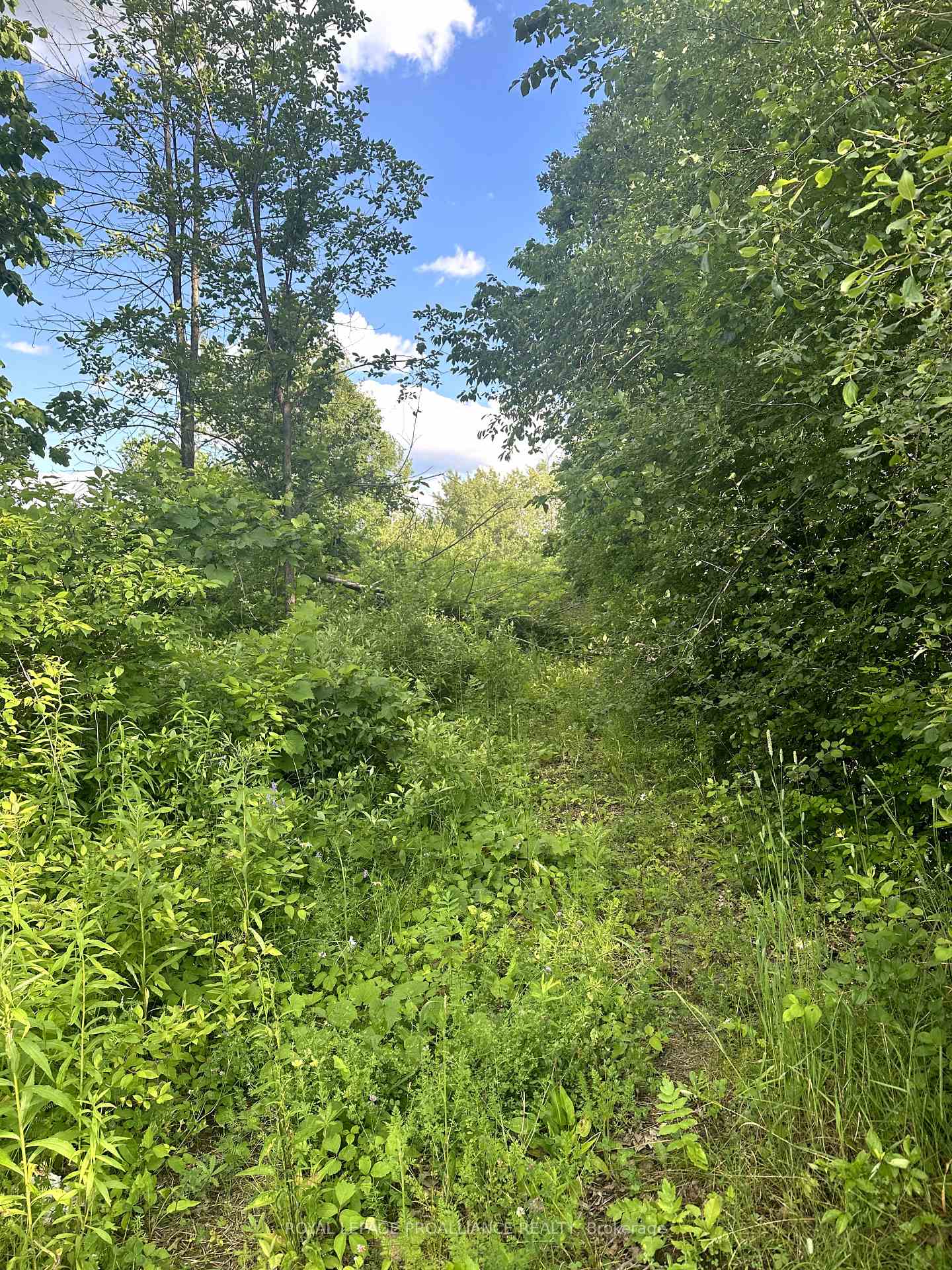 Photo 2 of 184 Upper Slash Road, Tyendinaga, Mohawks of The Bay of Quinte — HOMEH