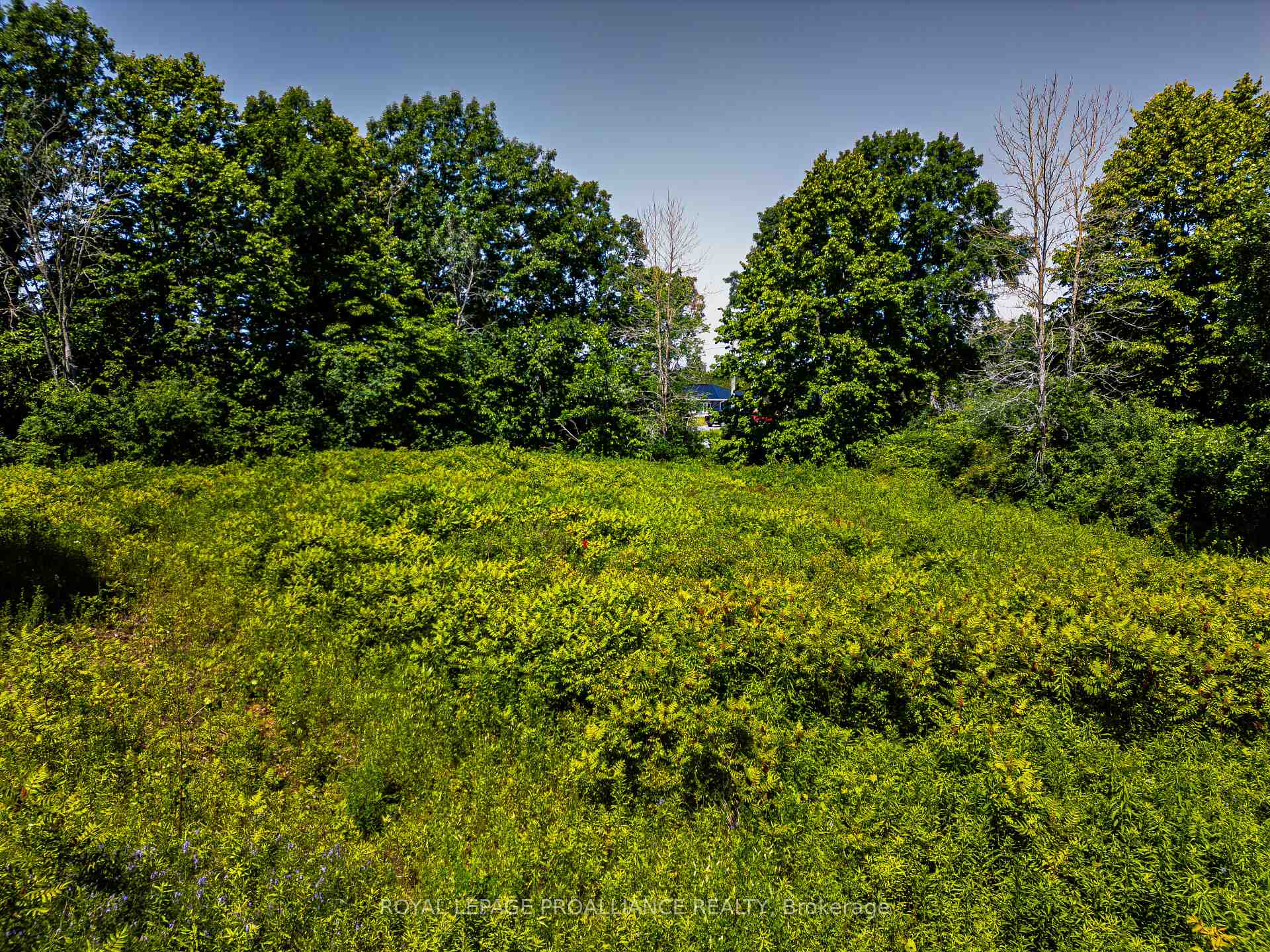 Photo 10 of 184 Upper Slash Road, Tyendinaga, Mohawks of The Bay of Quinte — HOMEH