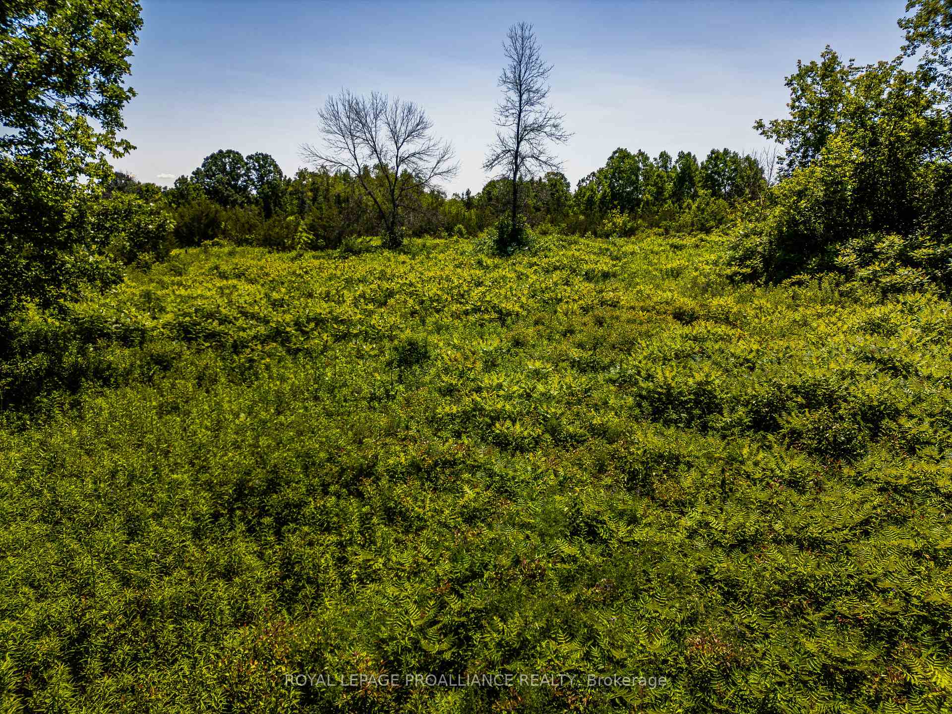 Photo 11 of 184 Upper Slash Road, Tyendinaga, Mohawks of The Bay of Quinte — HOMEH