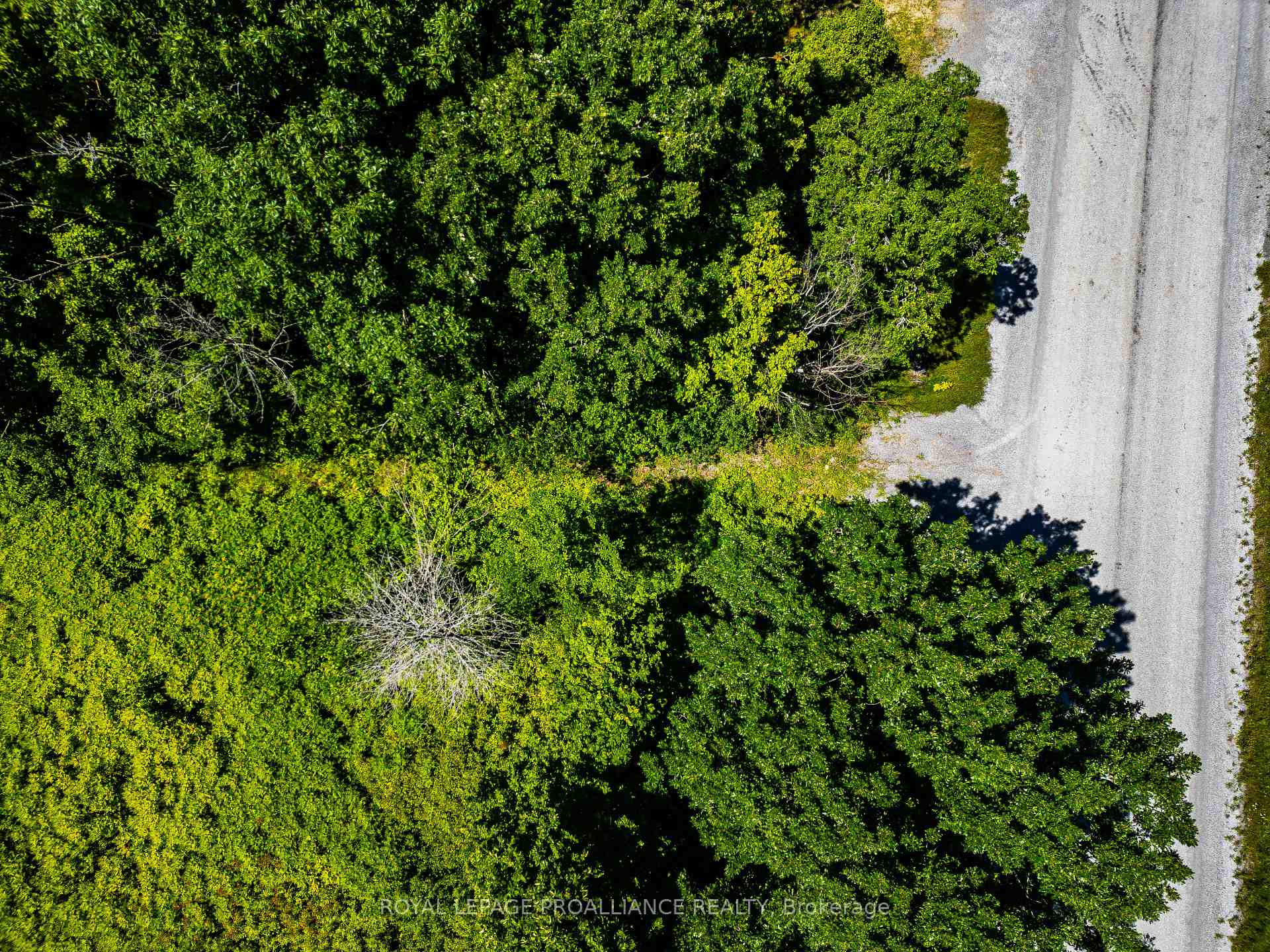 Photo 12 of 184 Upper Slash Road, Tyendinaga, Mohawks of The Bay of Quinte — HOMEH