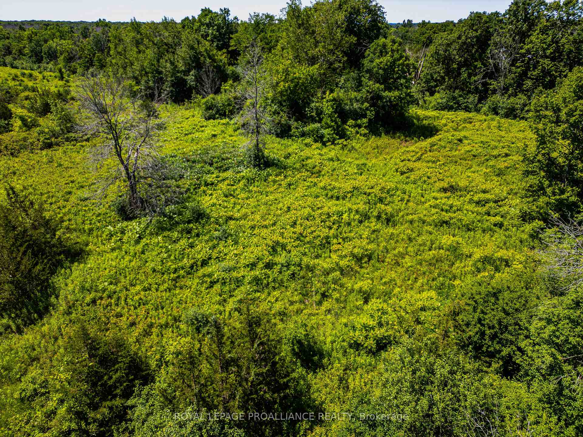 Photo 13 of 184 Upper Slash Road, Tyendinaga, Mohawks of The Bay of Quinte — HOMEH