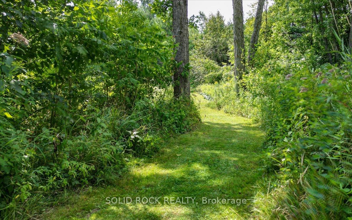 Photo 41 of 564 Bosley Road, Tweed, Elzevir (Twp) — HOMEH