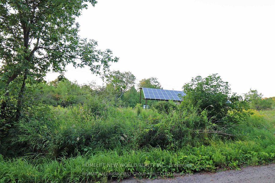 Photo 4 of 726 Otter creek Road, Tweed, Hungerford (Twp) — HOMEH