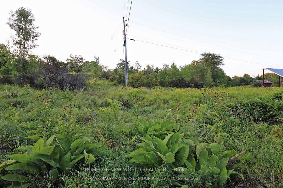 Photo 5 of 726 Otter creek Road, Tweed, Hungerford (Twp) — HOMEH