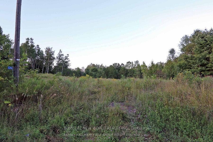 Photo 6 of 726 Otter creek Road, Tweed, Hungerford (Twp) — HOMEH
