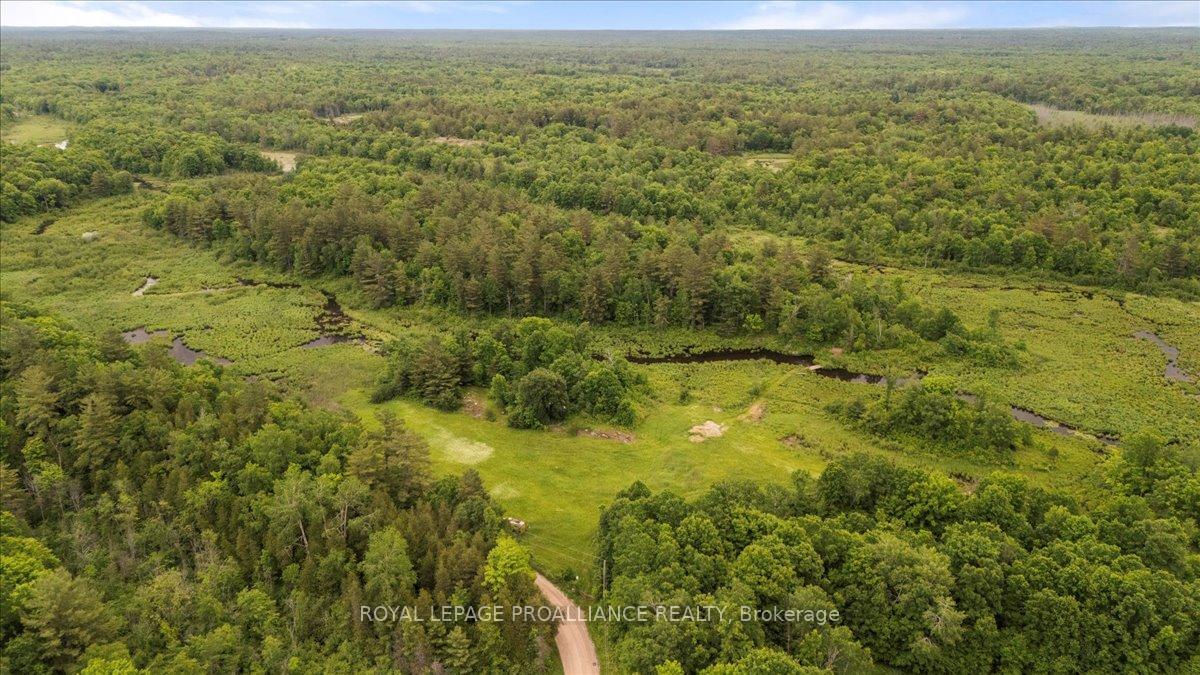 Photo 3 of 2494 Sulphide Road, Tweed, Hungerford (Twp) — HOMEH