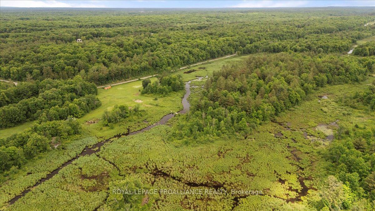 Photo 4 of 2494 Sulphide Road, Tweed, Hungerford (Twp) — HOMEH