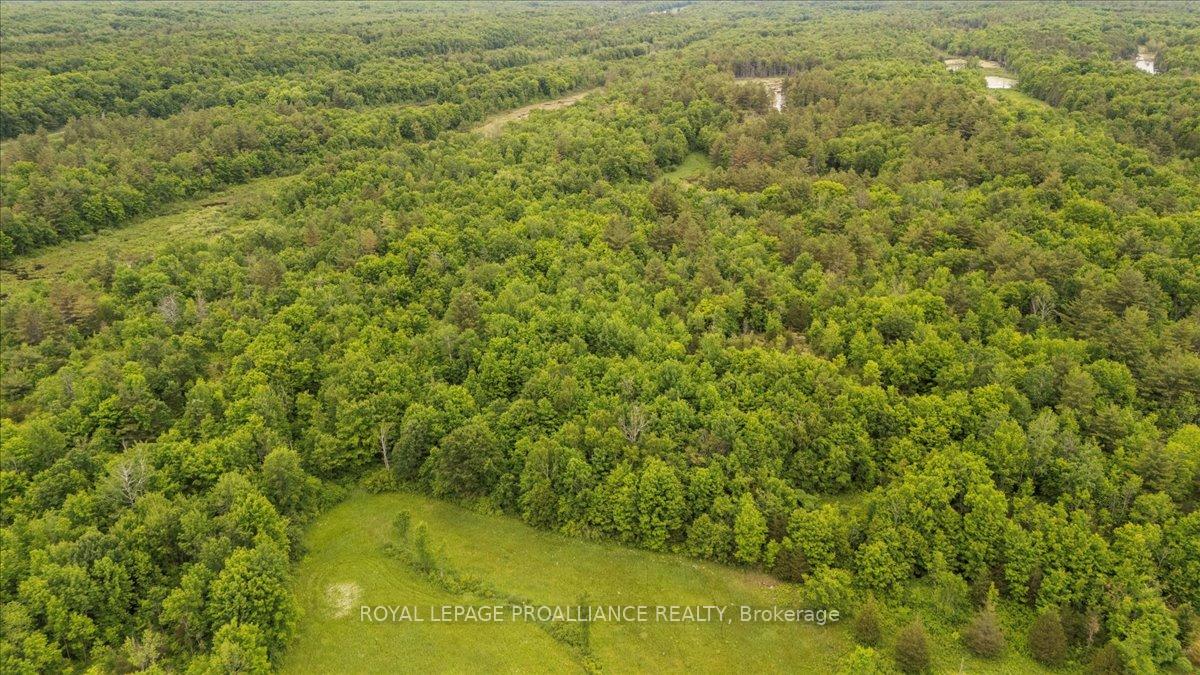 Photo 5 of 2494 Sulphide Road, Tweed, Hungerford (Twp) — HOMEH