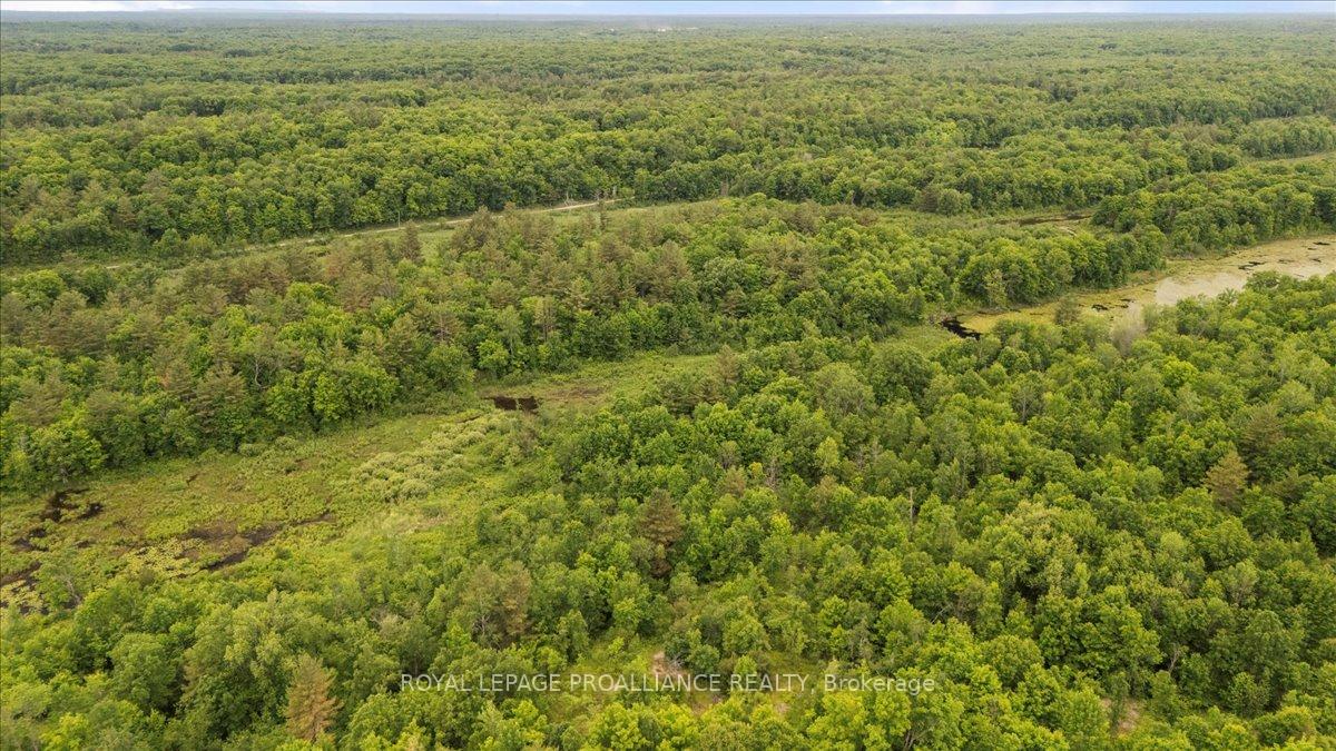 Photo 6 of 2494 Sulphide Road, Tweed, Hungerford (Twp) — HOMEH