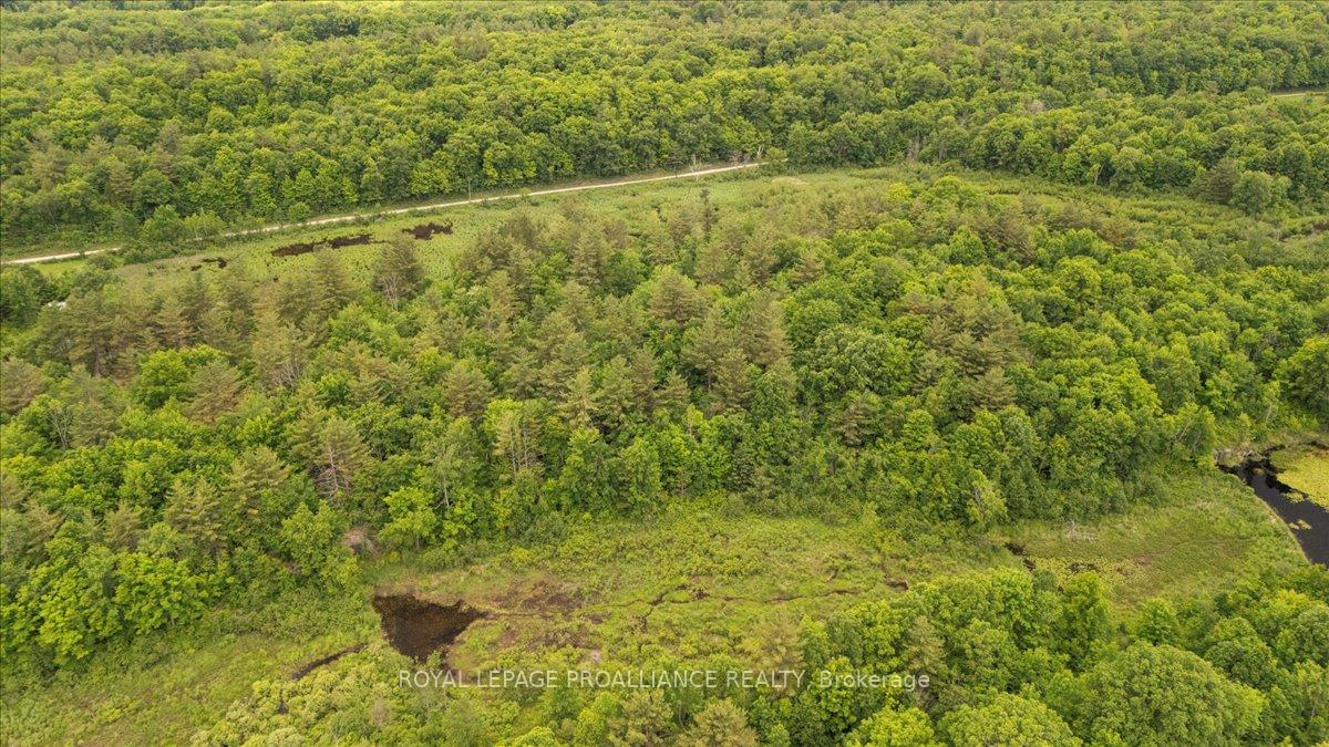 Photo 7 of 2494 Sulphide Road, Tweed, Hungerford (Twp) — HOMEH